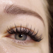 Online Hybrid Lashes